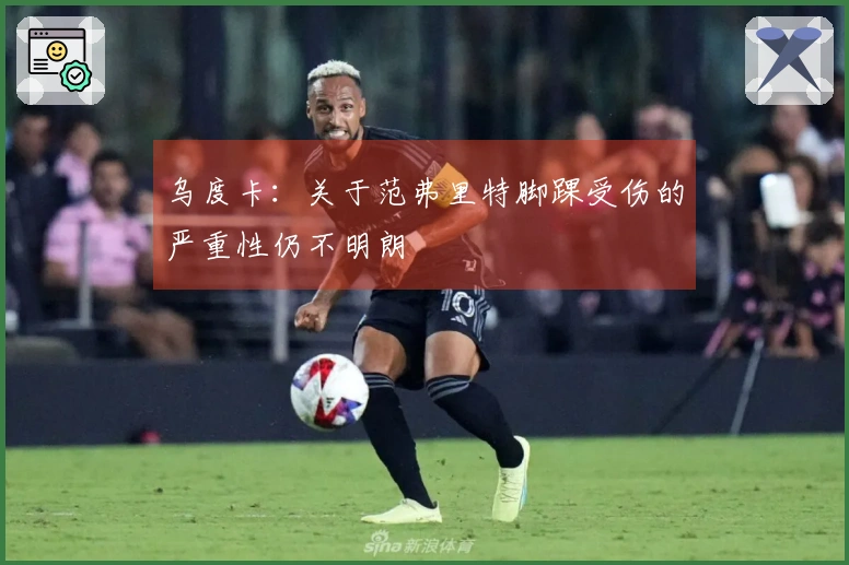 乌度卡：关于范弗里特脚踝受伤的严重性仍不明朗