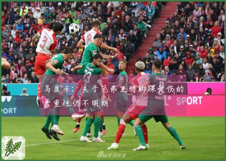 乌度卡：关于范弗里特脚踝受伤的严重性仍不明朗