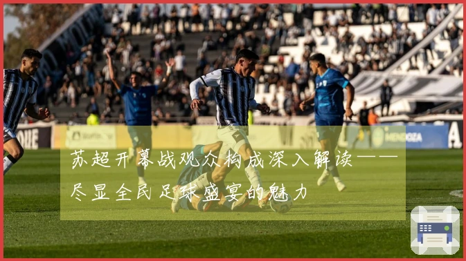 苏超开幕战观众构成深入解读——尽显全民足球盛宴的魅力